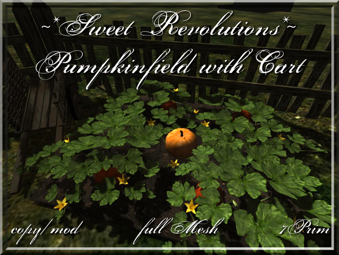 ~*SR*~ Pumpkinfield with Card c/m Box