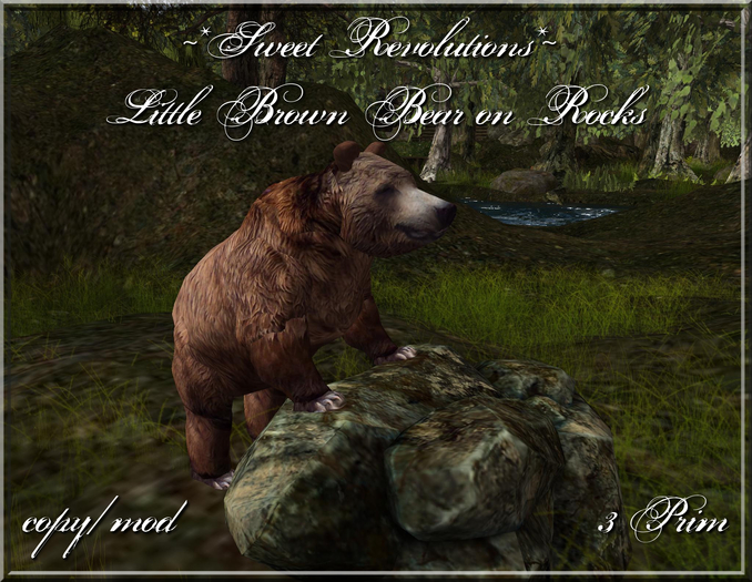 ~*SR*~ Little Brown Bear on Rocks Box