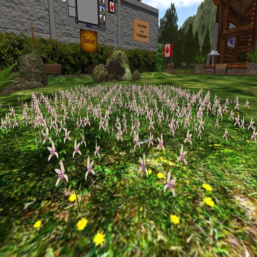 RG PINE TREE MEADOW T