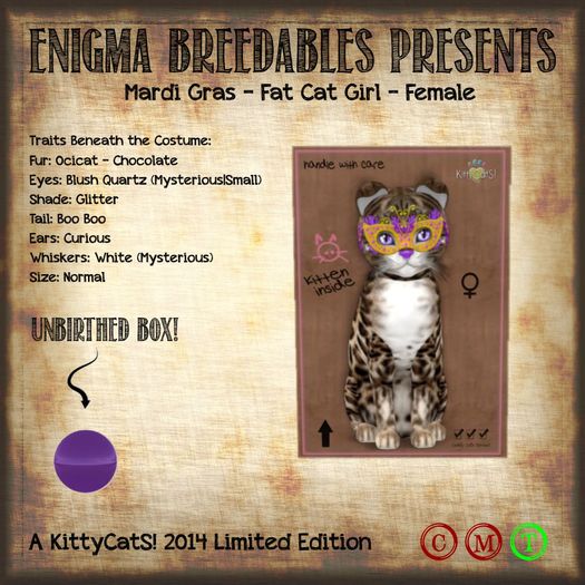 {EB} KittyCatS! Scrambled EggS - SunnySide Up (F)