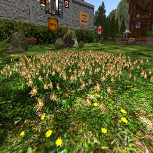 RG PINE TREE MEADOW COPY