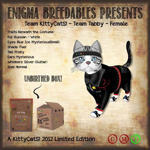 {EB} KittyCatS! Scrambled EggS - SunnySide Up (F)