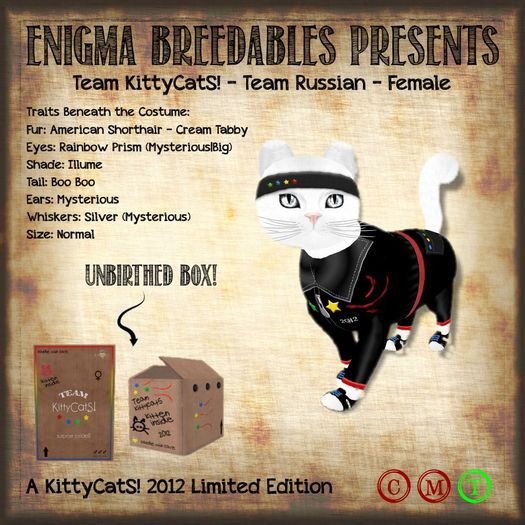 {EB} KittyCatS! Scrambled EggS - SunnySide Up (F)