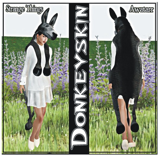 donkey skin