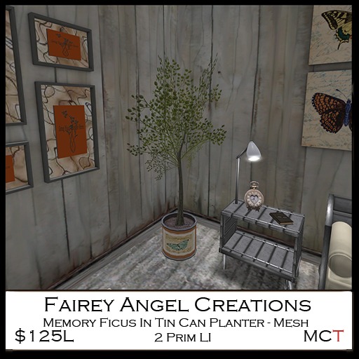 FAC Memory Ficus In Vintage Can Crated 125L