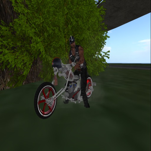 H.C.C. Bone Grinder