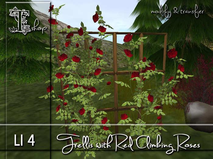 Trellis with red Climbing Roses MT
