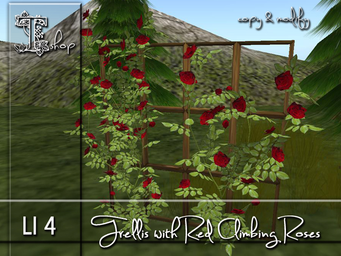 Trellis with red Climbing Roses MC