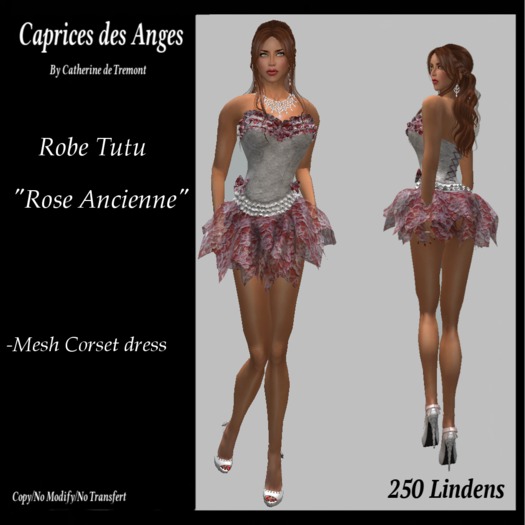 *CdT* Robe tutu "Rose ancienne"