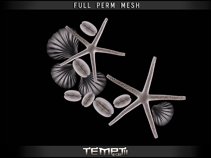 *TEMPTii* SHELLS  COLLECTION - FULL PERM