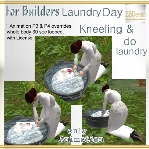 EBDesign Kneeling washing laundry