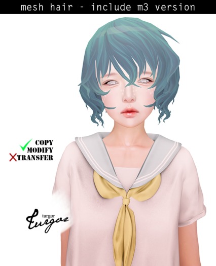 [Turgor] Homomo - Dark Blue