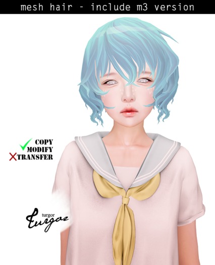 [Turgor] Homomo - Light Blue