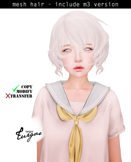 [Turgor] Homomo - White