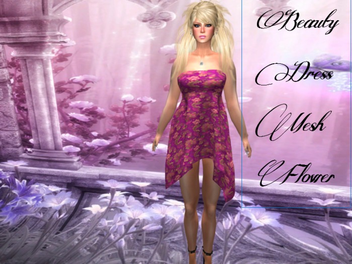 Beauty  Dress Mesh Flower