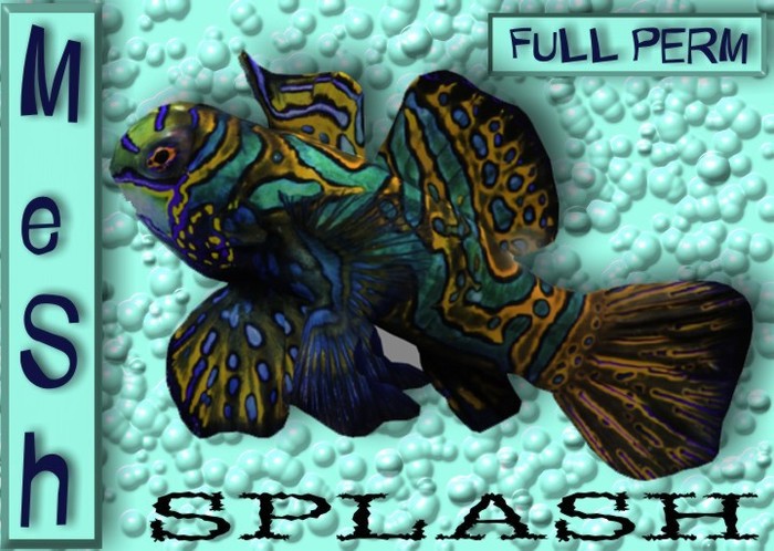 Splash BOX  Mesh Full Perm Light Blue  female Beta 0.5/1