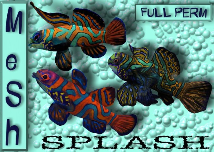 Splash BOX  Mesh Full Perm Light Blue  female Beta 0.5/1