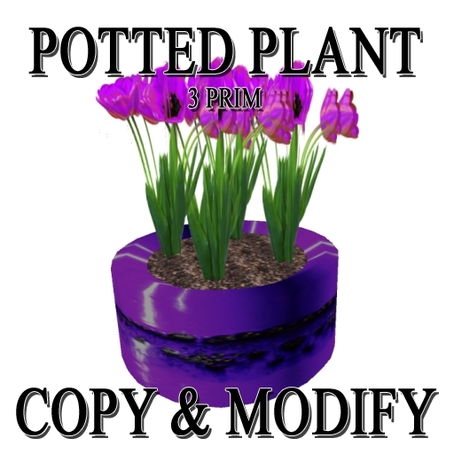 * GuTi tulips in fat lava ceramic planter purple violet