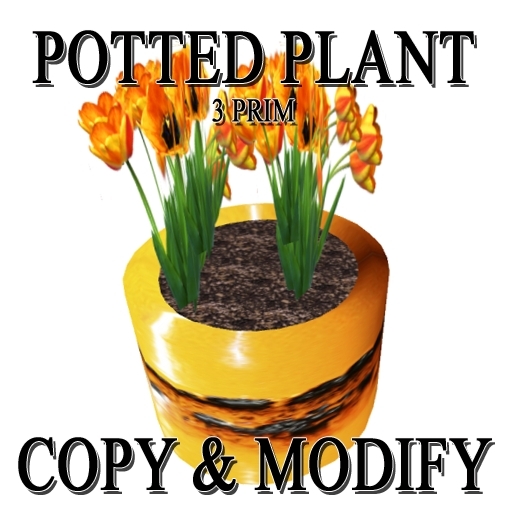 * GuTi tulips in fat lava ceramic planter orange