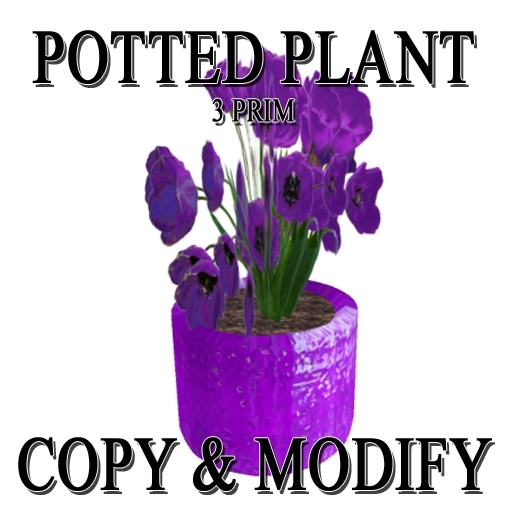 * GuTi tulips in ceramic planter pink