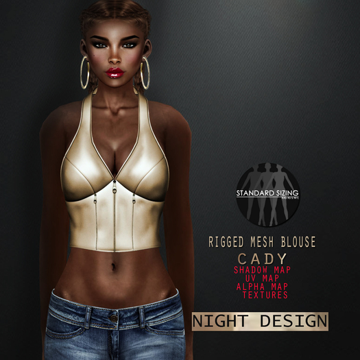 [demo] - night's full perm rigged mesh blouse "Cady"