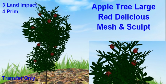 Apple Tree Large - Red Delicious / McIntosh