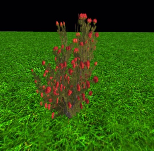 small pink plant