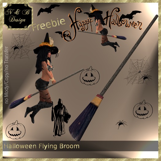 *N & B Design* Flying Broom