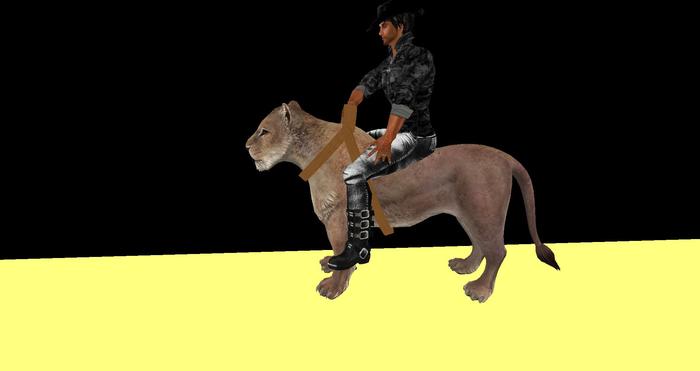 TusK Products Box. Tusk Mesh Ridable Lioness (Wear Me)
