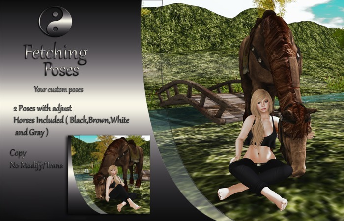 Fetching Poses - Female & Horse #2