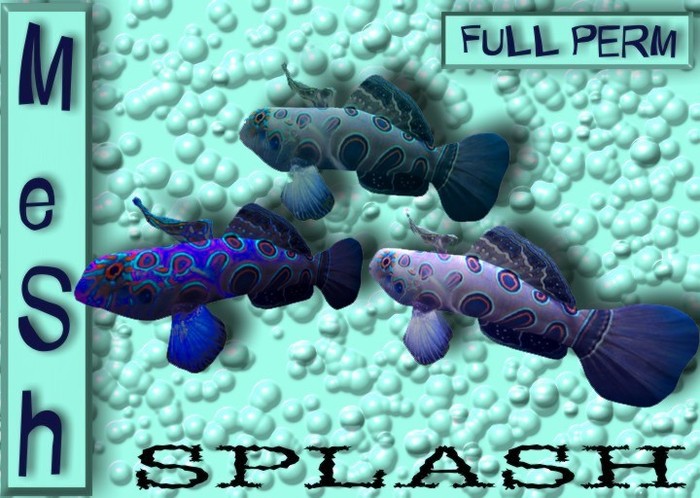 Splash BOX  Mesh Full Perm Light Blue  female Beta 0.5/1