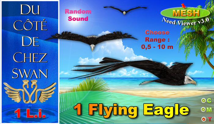 Flying Eagle - Mesh 1 L.i.