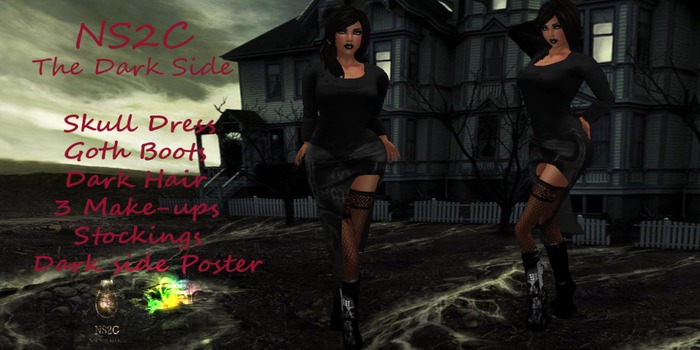 NS2C Everyone has a dark side 
