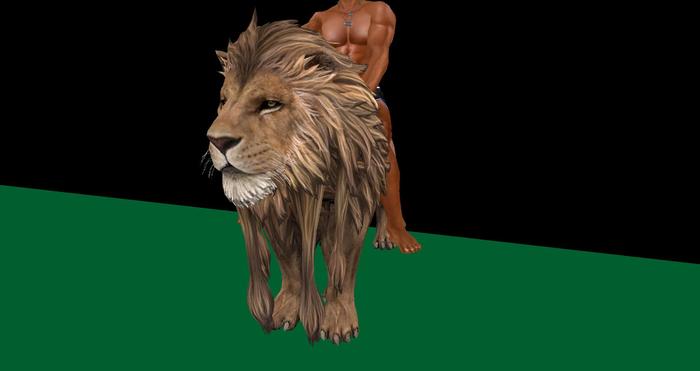 TusK Products Box. Tusk Mesh Ridable Lion (Wear Me)