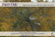 Pan's Oak 100% Mesh Oak Tree with Materials and sit poses *NEW FALL 14*