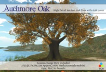 Auchmore Oak High detail mesh Oak tree with sit poses