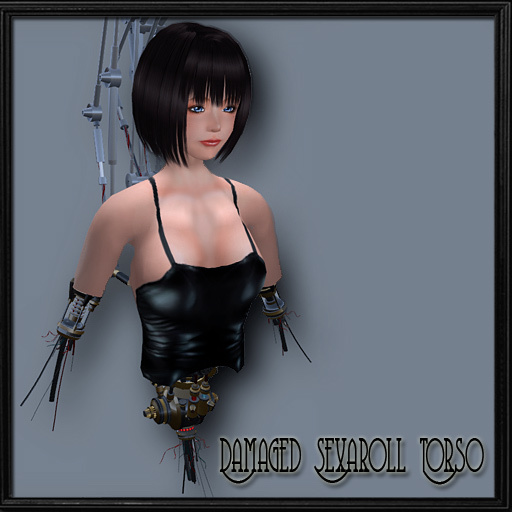 *LPP* Damaged sexadoll torso SLX