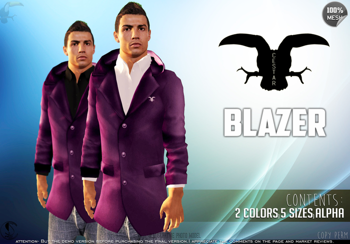 // Moleton Jacket \\ Rock