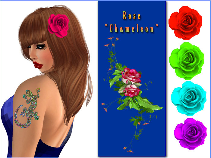 Rose - "Chameleon"