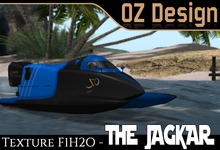 Paint F1H2O Jaguar 1