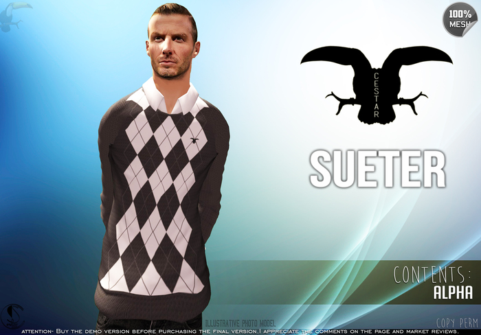 Sueter_Mesh Cestar - gray - Fitted Mesh