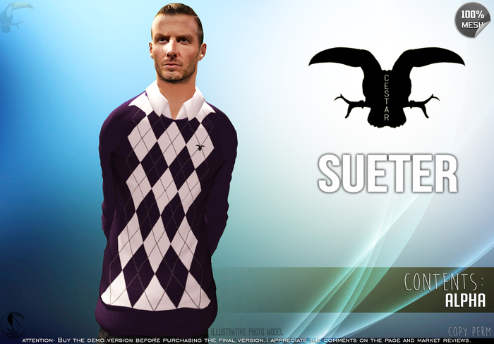 Sueter_Mesh Cestar - Purple - Fitted Mesh