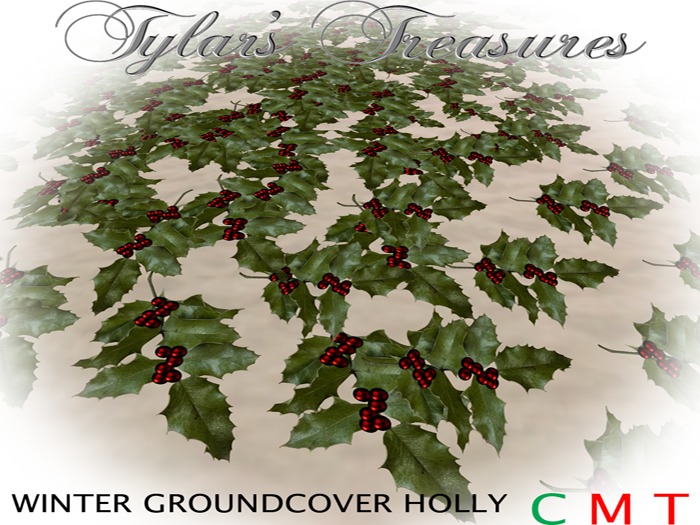 .:TT:.  IVY GROUNDCOVER BOXED