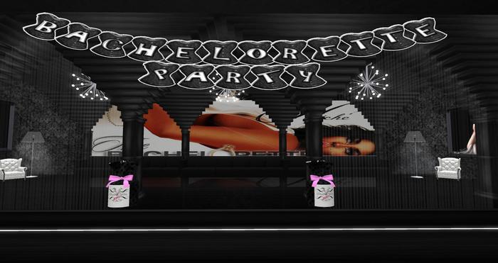 Bachelorette Party Banner