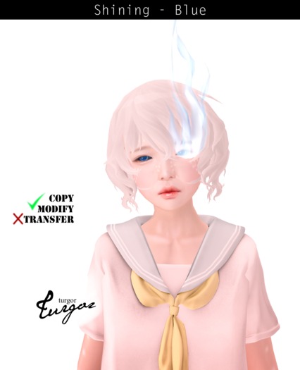 [Turgor] Yellow Shining