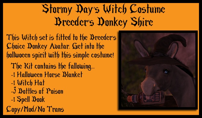 SD's Witch Costume - (BC Donkey)