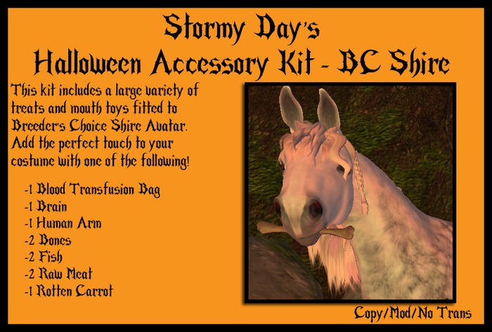 SD's Witch Costume - (BC Donkey)