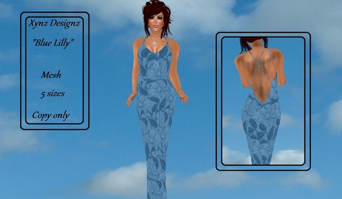 Blue Lily Mesh Gown