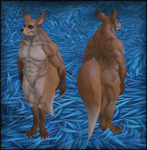 anthropomorfic male fox