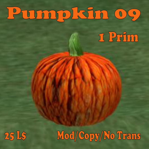 Pumpkin 09 (MN)(Box)